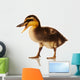 Domestic Duckling Wall Mural