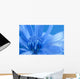 Blue Chicory
