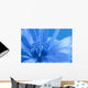 Blue Chicory