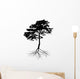 Black Pine Tree with