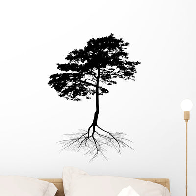 Black Pine Tree with shown on a wall