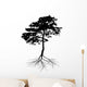 Black Pine Tree with