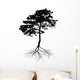 Black Pine Tree with