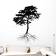 Black Pine Tree with