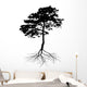 Black Pine Tree with