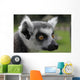 Ring-tail Lemur Portrait Wall Mural