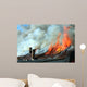 Burning house Wall Mural