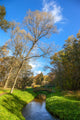 Autumn Wood Bridge over