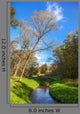 Autumn Wood Bridge over