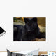 Black Wolf Canis Lupus Signatus Wall Mural