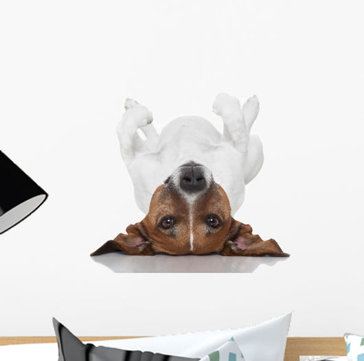 Dog Laying Upside Down Wall Decal