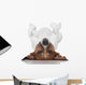 Dog Laying Upside Down Wall Decal
