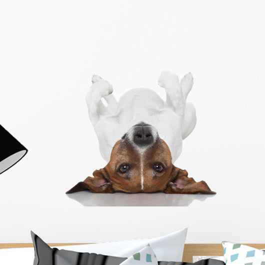 Dog Laying Upside Down Wall Decal
