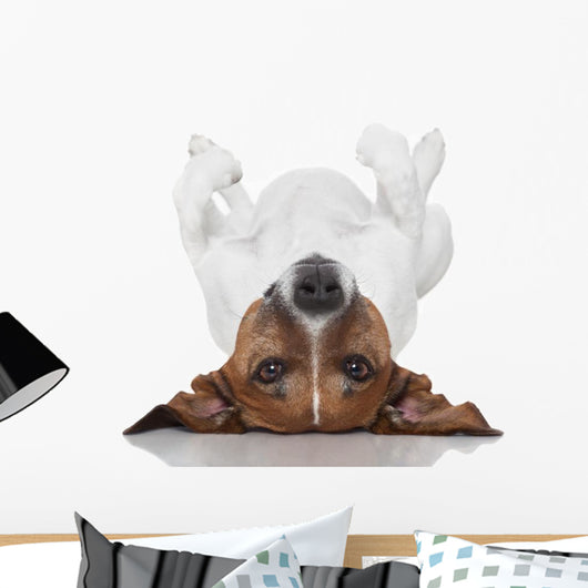 Dog Laying Upside Down Wall Decal