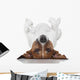 Dog Laying Upside Down Wall Decal