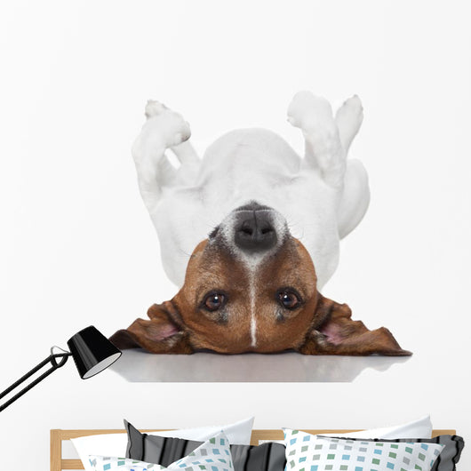 Dog Laying Upside Down Wall Decal
