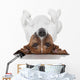 Dog Laying Upside Down Wall Decal