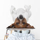 Dog Laying Upside Down Wall Decal