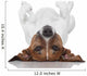 Dog Laying Upside Down Wall Decal