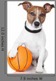 Basket ball winner dog Wall Decal