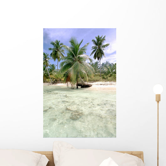 Palm Tree Seen from Wall Mural