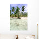 Palm Tree Seen from Wall Mural