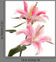 Beautiful Pink Lily White Wall Decal