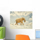 Elephant Walking Rope