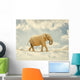Elephant Walking Rope