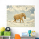 Elephant Walking Rope