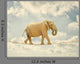Elephant Walking Rope