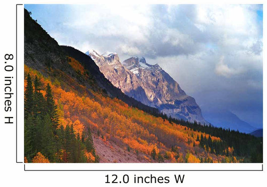 Mountain Slope In Fall Wall Mural