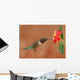 Ruby-Throated Hummingbird Feeding on Lantanas Wall Mural