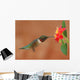 Ruby-Throated Hummingbird Feeding on Lantanas Wall Mural