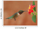 Ruby-Throated Hummingbird Feeding on Lantanas Wall Mural