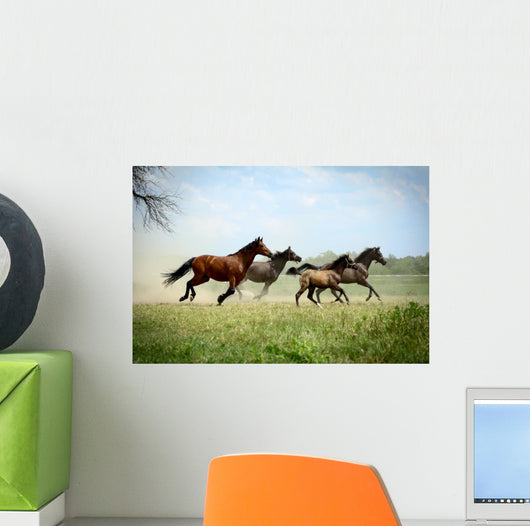 Galloping Family 2