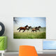 Galloping Family 2