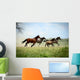 Galloping Family 2
