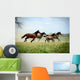 Galloping Family 2