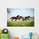 Galloping Family 2