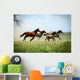 Galloping Family 2