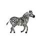 Running Zebra Wall Mural