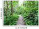 Forest Wall Decal