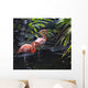 Goose Stepping Flamingo's Wall Mural