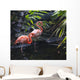 Goose Stepping Flamingo's Wall Mural