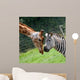 Zebra and Giraffe Wall Mural