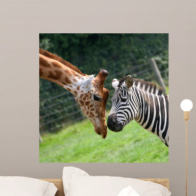Zebra and Giraffe Wall Mural shown on a wall