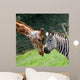 Zebra and Giraffe Wall Mural