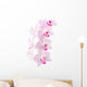 Orchid Wall Mural