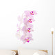 Orchid Wall Mural